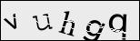 Verify Image